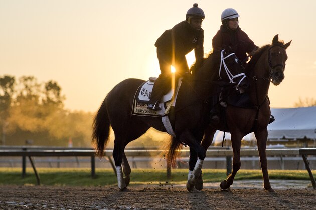BALTIMORE, MD - MAY 14: Kentucky Derby winner Always Dreaming jogs with a lead pony on the track after exercising in preparation for the Preakness Stakes next week at Pimlico Race Course on May 14, 2017 in Baltimore, Maryland.(Photo by Scott Serio/Eclipse Sportswire/Getty Images)