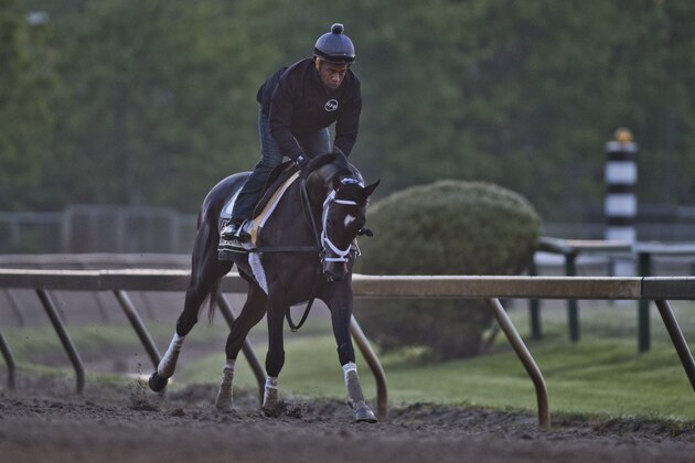 BALTIMORE, MD - MAY 14: Kentucky Derby winner Always Dreaming gallops on the track after exercising in preparation for the Preakness Stakes next week at Pimlico Race Course on May 14, 2017 in Baltimore, Maryland.  (Photo by Scott Serio/Eclipse Sportswire/Getty Images)