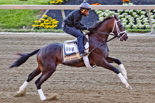 BALTIMORE, MD - MAY 15: Kentucky Derby winner Always Dreaming gallops on track with exercise rider Nick Bush in preparation for the Preakness Stakes this week at Pimlico Race Course on May 15, 2017 in Baltimore, Maryland.(Photo by Scott Serio/Eclipse Sportswire/Getty Images)