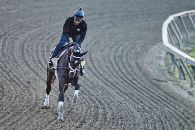 BALTIMORE, MD - MAY 17: Always Dreaming exercises in preparation for the Preakness Stakes this Saturday at Pimlico Race Course on May 17, 2017 in Baltimore, Maryland.(Photo by Scott Serio/Eclipse Sportswire/Getty Images)