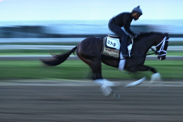 BALTIMORE, MD - MAY 17: Exercise rider Nick Bush rides Kentucky Derby winner Always Dreaming on the track during a training session for the upcoming Preakness Stakes at Pimlico Race Course on May 17, 2017 in Baltimore, Maryland. (Photo by Patrick Smith/Getty Images)