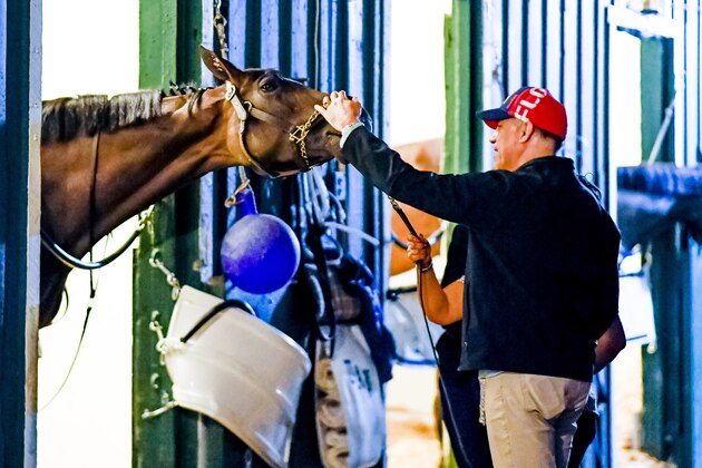 BALTIMORE, MD - MAY 17:  Part owner from Brooklyn Boyz Stables Vincent Viola checks in on his Kentucky Derby winner Always Dreaming at historic Stall 40 before he exercised in preparation for the Preakness Stakes this Saturday at Pimlico Race Course on May 17, 2017 in Baltimore, Maryland.(Photo by Scott Serio/Eclipse Sportswire/Getty Images)
