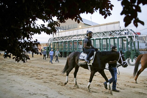 Kentucky Derby winner Always Dreaming, ridden by exercise rider Nick Bush, walks past the starting gates after a workout at Pimlico Race Course in Baltimore, Thursday, May 18, 2017. The Preakness Stakes horse race is scheduled to take place May 20. (AP Photo/Patrick Semansky)