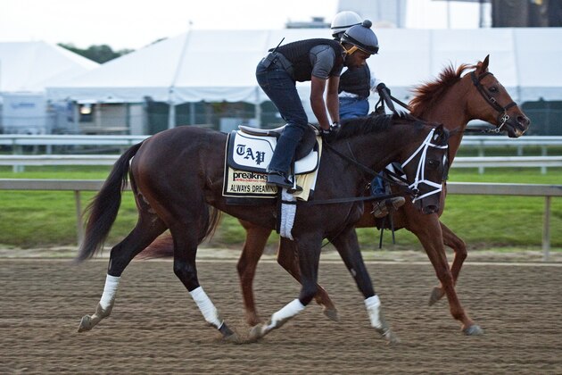 BALTIMORE, MD - MAY 18: Always Dreaming on the track in preparation for the Preakness Stakes at Pimlico Race Course on May 18, 2017 in Baltimore, Maryland. (Photo by Horsephotos/Getty Images)