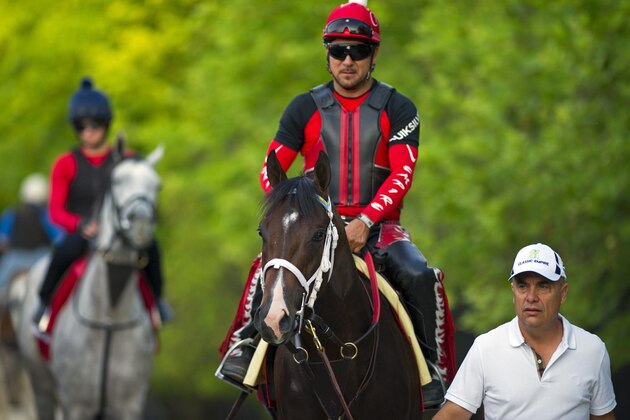 BALTIMORE, MD - MAY 18: Classic Empire in preparation for the Preakness Stakes at Pimlico Race Course on May 18, 2017 in Baltimore, Maryland. (Photo by Horsephotos/Getty Images)