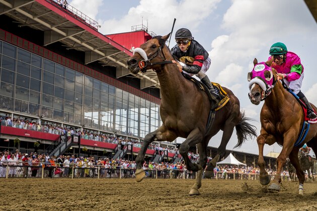 BALTIMORE, MD - MAY 19: Shaman Ghost # 6 with Javier Castellano defeats Dolphus #1 with Rajiv Maragh to win the Pimlico Special Stakes at Pimlico Race Course on May 19, 2017 in Baltimore, Maryland. (Photo by Alex Evers/Eclipse Sportswire/Getty Images)