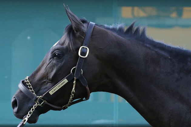 Kentucky Derby winner Always Dreaming stands outside a barn as he is washed after a workout at Pimlico Race Course in Baltimore, Thursday, May 18, 2017. The Preakness Stakes horse race is scheduled to take place May 20. (AP Photo/Patrick Semansky)