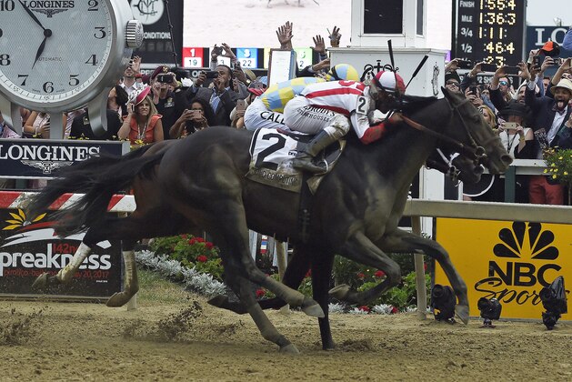 Cloud Computing (2), ridden by Javier Castellano, wins the 142nd Preakness Stakes horse race ahead of Classic Empire, ridden by Julien Leparoux, Saturday, May 20, 2017, at Pimlico Race Course in Baltimore. (AP Photo/Mike Stewart)