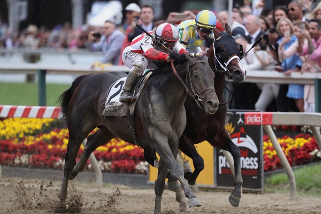 BALTIMORE, MD - MAY 20: Cloud Computing #2 ridden by Javier Castellano (L) beats Classic Empire #5 ridden by Julien Leparoux to win the 142nd running of the Preakness Stakes at Pimlico Race Course on May 20, 2017 in Baltimore, Maryland. (Photo by Rob Carr/Getty Images) BALTIMORE, MD - MAY 20: Cloud Computing #2 ridden by Javier Castellano (L) beats Classic Empire #5 ridden by Julien Leparoux to win the 142nd running of the Preakness Stakes at Pimlico Race Course on May 20, 2017 in Baltimore, Maryland. (Photo by Rob Carr/Getty Images)