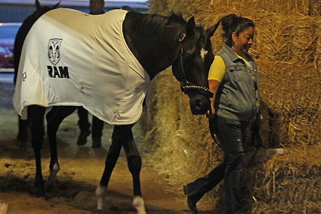 Always Dreaming, winner of the Kentucky Derby, walks the shed row led by Patricia Campos at Pimlico Race Course in Baltimore, Saturday, May 20, 2017. Always Dreaming and nine others will vie for the 142nd Preakness Stakes crown. (AP Photo/Garry Jones)