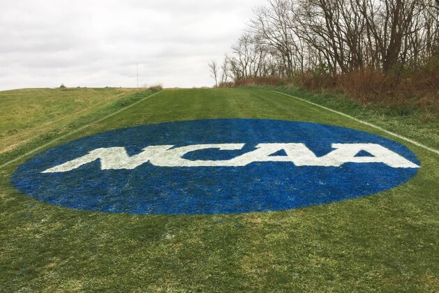 Nov 19, 2016; Terre Haute, IN, USA; General overall view of NCAA logo during the NCAA cross country championships on the LaVern Gibson championship course at the Wabash Valley Family Sports Center. Mandatory Credit: Kirby Lee-USA TODAY Sports