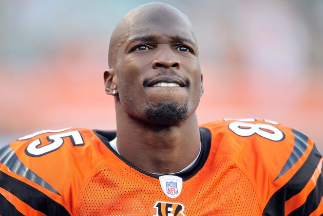 CINCINNATI - NOVEMBER 21:  Chad Ochocinco #85 of the Cincinnati Bengals watches the final minute of the Bengals 49-31 loss to the Buffalo Bills at Paul Brown Stadium on November 21, 2010 in Cincinnati, Ohio.  (Photo by Andy Lyons/Getty Images)