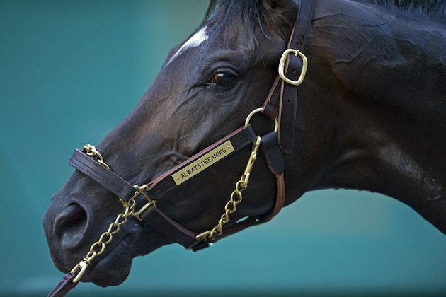BALTIMORE, MD - MAY 18: Kentucky Derby winner Always Dreaming gets a bath following a jog in preparation for the Preakness Stakes at Pimlico Race Course on May 18, 2017 in Baltimore, Maryland. (Photo by Horsephotos/Getty Images)
