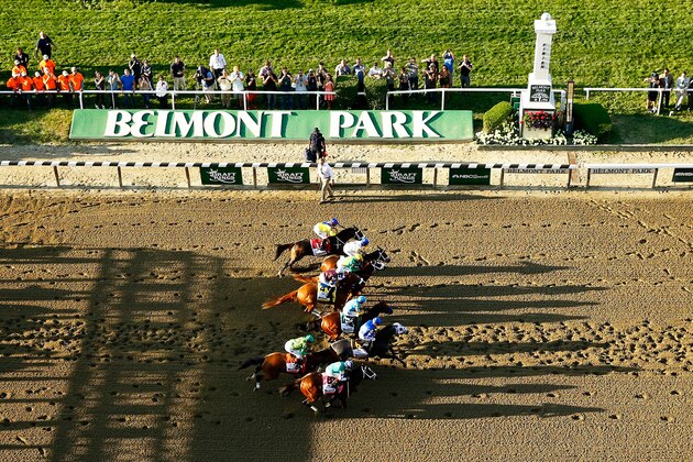 ELMONT, NY - JUNE 06:  The field leaves the starting gate at the beginning of the 147th running of the Belmont Stakes at Belmont Park on June 6, 2015 in Elmont, New York.  (Photo by Al Bello/Getty Images)