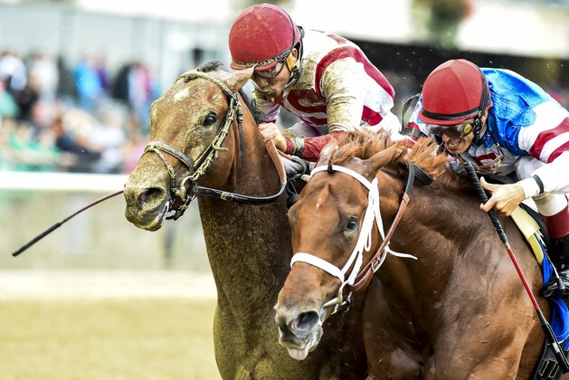 ELMONT, NY - OCTOBER 08: Practical Joke #1 (left), ridden by Joel Rosario, catches Syndergaard #3, ridden by John Velazquez at the wire to win by a nose in the Champagne Stakes on Jockey Club Gold Cup Day at Belmont Park on October 8, 2016 in Elmont, New York. (Photo by Scott Serio/Eclipse Sportswire/Getty Images)