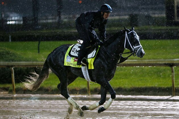 LOUISVILLE, KY - MAY 05:  Tapwrit runs on the track during morning training prior to the 143rd Kentucky Derby at Churchill Downs on May 5, 2017 in Louisville, Kentucky.  (Photo by Michael Reaves/Getty Images)