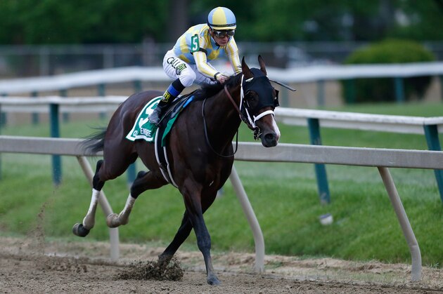 BALTIMORE, MD - MAY 20:  Classic Empire #5 ridden by Julien Leparoux leads the field around the fourth turn during the 142nd running of the Preakness Stakes at Pimlico Race Course on May 20, 2017 in Baltimore, Maryland.  (Photo by Matt Hazlett/Getty Images)
