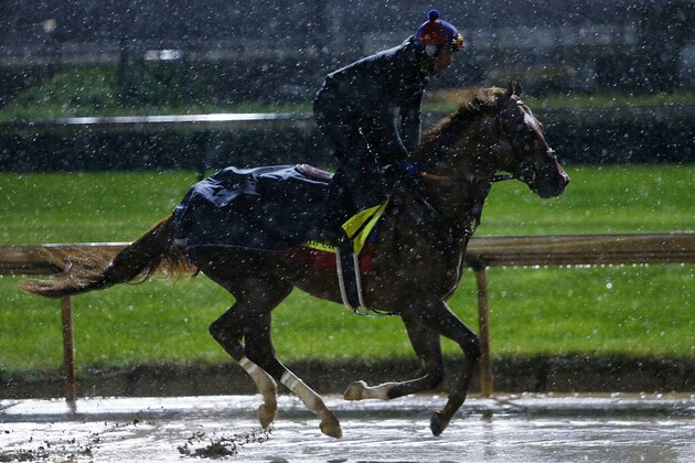 LOUISVILLE, KY - MAY 05:  Irish War Cry runs on the track during morning training prior to the 143rd Kentucky Derby at Churchill Downs on May 5, 2017 in Louisville, Kentucky.  (Photo by Michael Reaves/Getty Images)