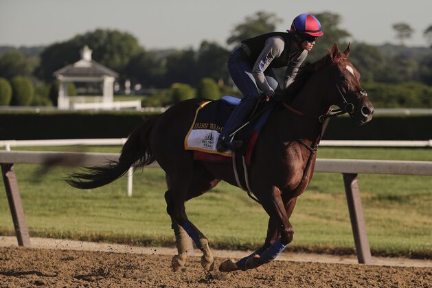 Belmont Stakes hopeful Irish War Cry gallops around the track during a workout at Belmont Park, Thursday, June 8, 2017, in Elmont, N.Y. Irish War Cry will be one of 12 horses competing in the 149th running of the Belmont Stakes horse race on Saturday. (AP Photo/Julie Jacobson) Belmont Stakes hopeful Irish War Cry gallops around the track during a workout at Belmont Park, Thursday, June 8, 2017, in Elmont, N.Y. Irish War Cry will be one of 12 horses competing in the 149th running of the Belmont Stakes horse race on Saturday. (AP Photo/Julie Jacobson)