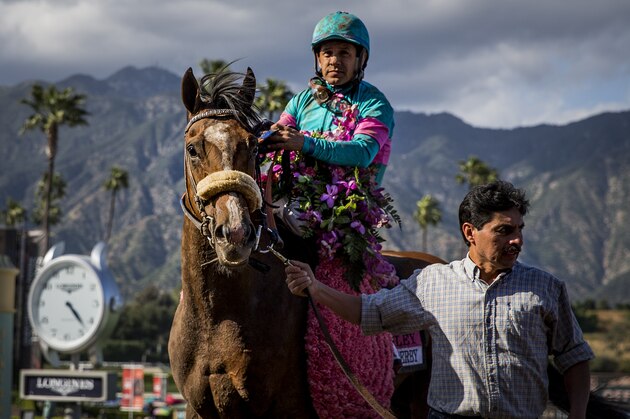 ARCADIA, CA - APRIL 08: Gormley #8, ridden by Victor Espinoza, is led to the winner's circle after winning the Santa Anita Derby at Santa Anita Park on April 8, 2017 in Arcadia, California. (Photo by Alex Evers/Eclipse Sportswire/Getty Images)