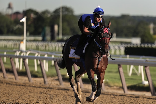 Belmont Stakes hopeful Looking At Lee gallops around the track during a workout, Thursday, June 8, 2017, in Elmont, N.Y. Looking At Lee will be one of 12 horses competing in the 149th running of the Belmont Stakes horse race on Saturday. (AP Photo/Julie Jacobson)