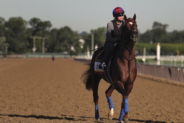 Belmont Stakes hopeful Irish War Cry jogs around the track during a workout at Belmont Park, Thursday, June 8, 2017, in Elmont, N.Y. Irish War Cry will be one of 12 horses competing in the 149th running of the Belmont Stakes horse race on Saturday. (AP Photo/Julie Jacobson)