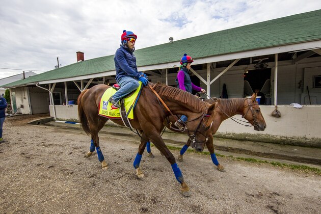 LOUISVILLE, KY - MAY 03: Irish War Cry, owned by Isabelle de Tomaso and trained by H. Graham Motion, walks back to the barn at Churchill Downs on May 03, 2017 in Louisville, Kentucky. (Photo by Alex Evers/Eclipse Sportswire/Getty Images)