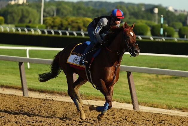 ELMONT, NY - JUNE 08:  Belmont Stakes contender Irish War Cry trains with Assistant Trainor Alice Clapham up prior to the 149th running of the Belmont Stakes at Belmont Park on June 8, 2017 in Elmont, New York.  (Photo by Al Bello/Getty Images)