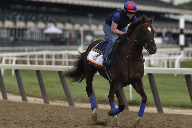 Belmont Stakes hopeful Irish War Cry gallops around the track with assistant trainer Alice Chapman up during a workout, Friday, June 9, 2017, in Elmont, N.Y. Irish War Cry is the favorite to win the 149th running of the Belmont Stakes horse race on Saturday. (AP Photo/Julie Jacobson)