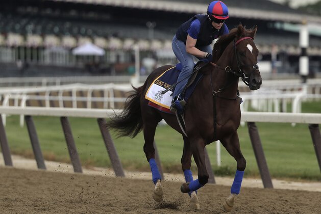 Belmont Stakes hopeful Irish War Cry gallops around the track with assistant trainer Alice Chapman up during a workout, Friday, June 9, 2017, in Elmont, N.Y. Irish War Cry is the favorite to win the 149th running of the Belmont Stakes horse race on Saturday. (AP Photo/Julie Jacobson)