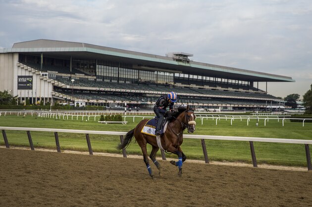 ELMONT, NY - JUNE 09: Gormley gallops in preparation for the Belmont Stakes at Belmont Park on June 9, 2017 in Elmont, New York. (Photo by Alex Evers/Eclipse Sportswire/Getty Images)
