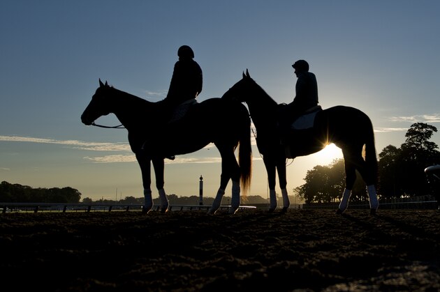 ELMONT, NY - JUNE 09: Horses come onto the track to exercise during morning workouts in preparation for the Belmont Stakes at Belmont Park on June 9, 2017 in Elmont, New York (Photo by Scott Serio/Eclipse Sportswire/Getty Images)