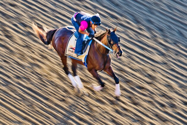 BALTIMORE, MD - MAY 17:  Lookin At Lee exercises in preparation for the Preakness Stakes this Saturday at Pimlico Race Course on May 17, 2017 in Baltimore, Maryland.(Photo by Scott Serio/Eclipse Sportswire/Getty Images)