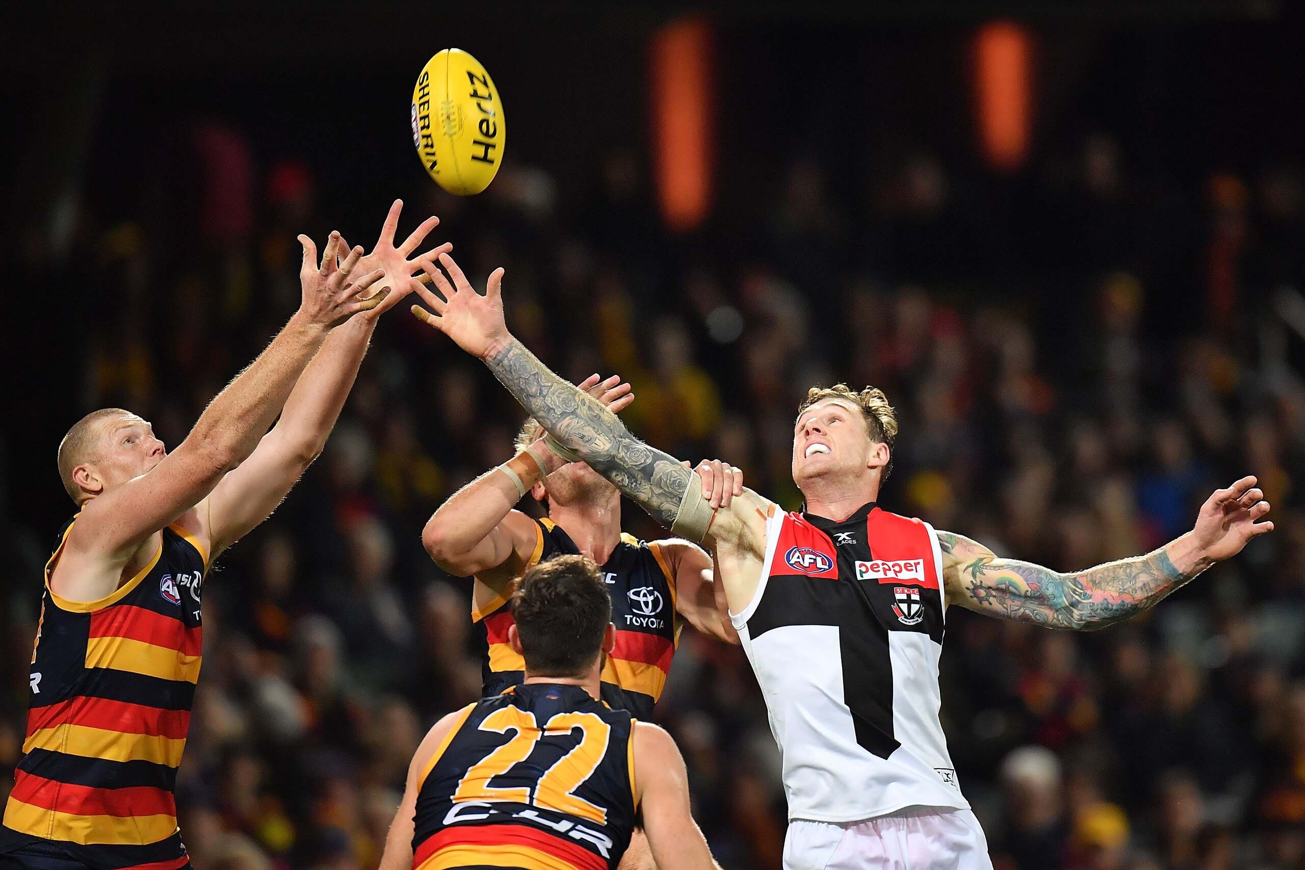 ADELAIDE, AUSTRALIA - JUNE 09: Sam Jacobs of the Crows competes for the ball with Tim Membrey of the Saints during the round 12 AFL match between the Adelaide Crows and the St Kilda Saints at Adelaide Oval on June 9, 2017 in Adelaide, Australia.  (Photo by Daniel Kalisz/Getty Images)
