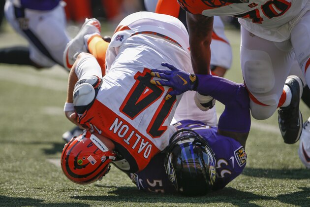 Baltimore Ravens outside linebacker Terrell Suggs (55) sacks Cincinnati Bengals quarterback Andy Dalton (14) in the second half of an NFL football game, Sunday, Sept. 10, 2017, in Cincinnati. (AP Photo/Gary Landers)