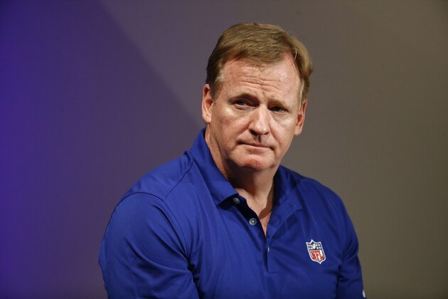 NFL commissioner Roger Goodell speaks at a fan forum with Baltimore Ravens fans before a Ravens NFL football training camp practice in Baltimore, Sunday, July 30, 2017. (AP Photo/Patrick Semansky)