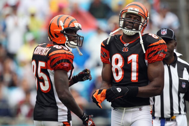 CHARLOTTE, NC - SEPTEMBER 26:  Chad Ochocinco #85 and teammate Terrell Owens #81 of the Cincinnati Bengals wait for a play against the Carolina Panthers during their game at Bank of America Stadium on September 26, 2010 in Charlotte, North Carolina.  (Photo by Streeter Lecka/Getty Images)