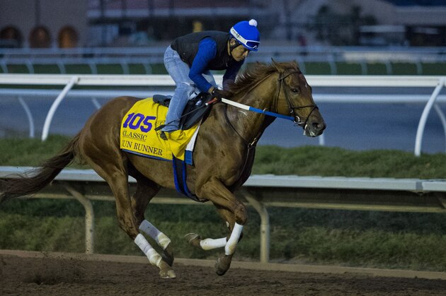 DEL MAR, CA - OCTOBER 30: Gun Runner, owned by Winchell Thoroughbreds LLC & Three Chimneys Farm LLC and trained by Steven M. Asmussen, exercises in preparation for Breeders' Cup Classic at Del Mar Thoroughbred Club on {mothname} 30, 2017 in Del Mar, California. (Photo by Jesse Caris/Breeders Cup via Getty Images)