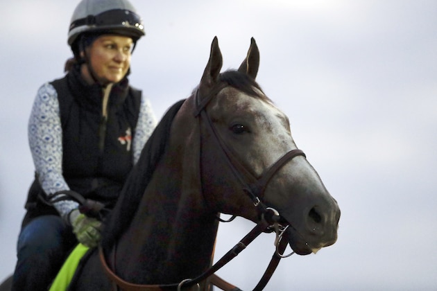 Exercise rider Dana Barnes rides Arrogate, entered in the Breeders' Cup Classic, on their way to morning workouts at the Breeders' Cup horse races Thursday, Nov. 2, 2017, in Del Mar, Calif. season-ending championships open with four races on Friday followed by nine, including the Classic, on Saturday. (AP Photo/Gregory Bull)