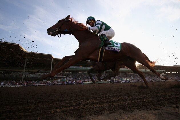 ARCADIA, CA - NOVEMBER 04: Stellar Wind ridden by Victor Espinoza during the Longines Breeders' Cup Distaff during day one of the 2016 Breeders' Cup World Championships at Santa Anita Park on November 4, 2016 in Arcadia, California.  (Photo by Sean M. Haffey/Getty Images)