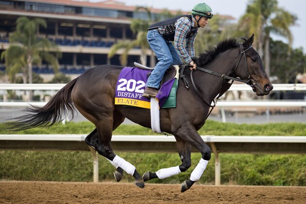 DEL MAR, CA - NOVEMBER 01: Elate, owned by Claiborne Farm & Adele Dilschneider and trained by William I. Mott, exercises in preparation for Longines Breeders' Cup Distaff at Del Mar Thoroughbred Club on November 1, 2017 in Del Mar, California. (Photo by Jesse Caris/Breeders Cup via Getty Images)