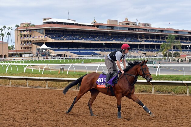 DEL MAR, CA NOVEMBER 2: Rhododendron on track in preparation for the Breeders' Cup at Del Mar Race Track on November 2, 2017 in Del Mar, California (Photo by Horsephotos/Getty Images)