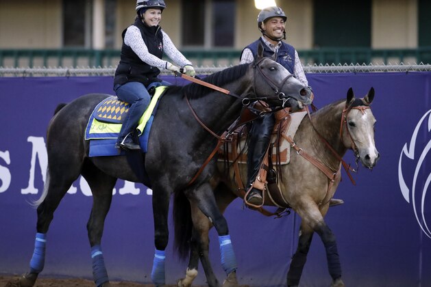 Arrogate, left, rubs against another horse while ridden by exercise rider Dana Barnes during morning workouts at the Breeders' Cup horse races Thursday, Nov. 2, 2017, in Del Mar, Calif. The season-ending championships open with four races on Friday followed by nine, including the Classic, on Saturday. (AP Photo/Gregory Bull)