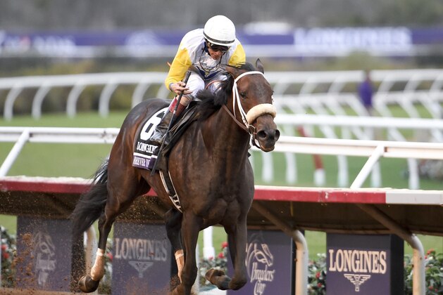 Forever Unbridled wins the Longines Distaff horse race, with John R. Velazquez aboard, during the first day of the Breeders' Cup, Friday, Nov. 3, 2017, in Del Mar, Calif. (AP Photo/Denis Poroy)