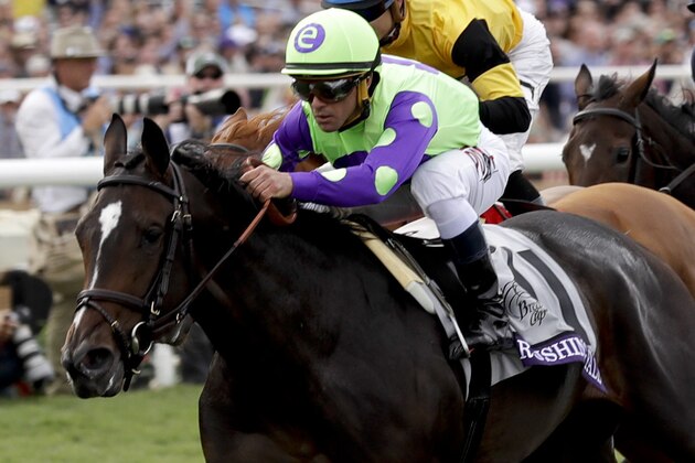 Jockey Javier Castellano rides Rushing Fall to victory in the Juvenile Fillies Turf horse race during the first day of the Breeders' Cup, Friday, Nov. 3, 2017, in Del Mar, Calif. (AP Photo/Gregory Bull)