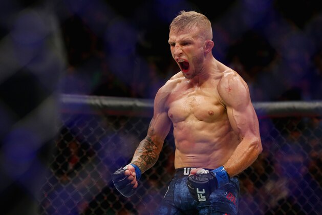 NEW YORK, NY - NOVEMBER 04:  TJ Dillashaw reacts during his UFC bantamweight championship bout against Cody Garbrandt during the UFC 217 event at Madison Square Garden on November 4, 2017 in New York City.  (Photo by Mike Stobe/Getty Images)