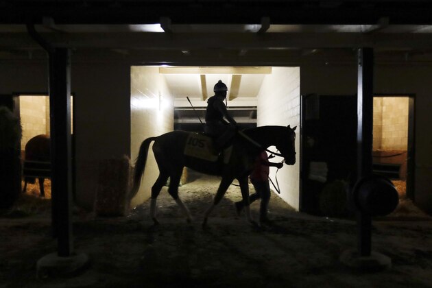 Angel Garcia rides Gun Runner, who is entered in the Breeders' Cup Classic, as they make their way towards the track for morning workouts at the Breeders Cup horse races Wednesday, Nov. 1, 2017, in Del Mar, Calif. Del Mar is hosting the $28 million, 13-race Breeders' Cup for the first time. The season-ending championships open with four races on Friday followed by nine, including the Classic, on Saturday. (AP Photo/Gregory Bull)