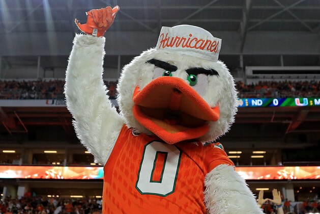MIAMI GARDENS, FL - NOVEMBER 11:  Miami Hurricanes mascot Sebastian celebrates during a game against the Notre Dame Fighting Irish at Hard Rock Stadium on November 11, 2017 in Miami Gardens, Florida.  (Photo by Mike Ehrmann/Getty Images)