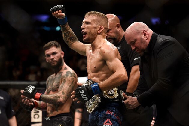 NEW YORK, NY - NOVEMBER 04:  (R-L) TJ Dillashaw celebrates his knockout victory over Cody Garbrandt in their UFC bantamweight championship bout during the UFC 217 event inside Madison Square Garden on November 4, 2017 in New York City. (Photo by Brandon Magnus/Zuffa LLC/Zuffa LLC via Getty Images)