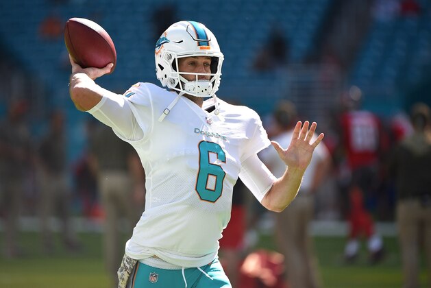 MIAMI GARDENS, FL - NOVEMBER 19: Jay Cutler #6 of the Miami Dolphins warms up prior to a game against the Tampa Bay Buccaneers at Hard Rock Stadium on November 19, 2017 in Miami Gardens, Florida.  (Photo by Mark Brown/Getty Images)